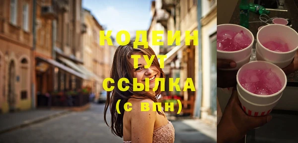 прущие грибы Новокубанск
