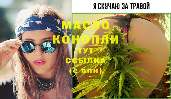 дмт Новодвинск