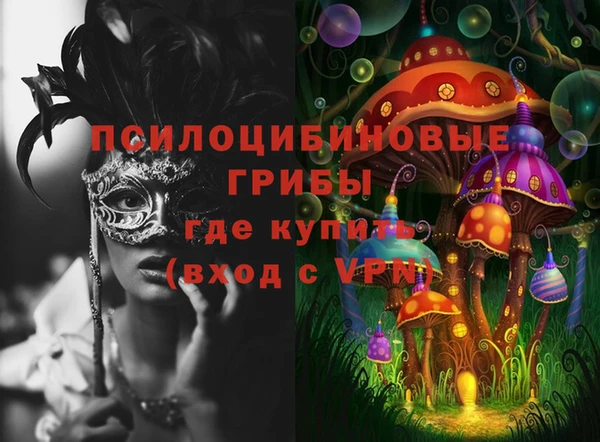 дмт Новодвинск