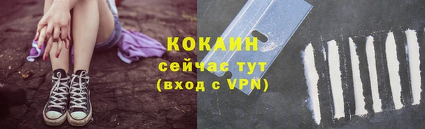 прущие грибы Новокубанск