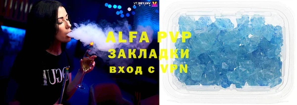 прущие грибы Новокубанск