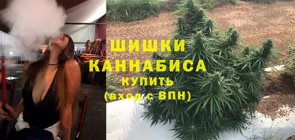 дмт Новодвинск