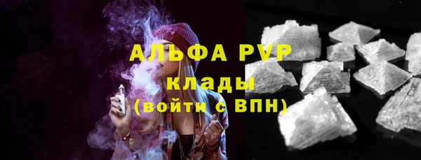 прущие грибы Новокубанск