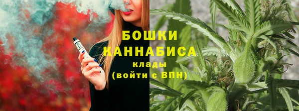 прущие грибы Новокубанск
