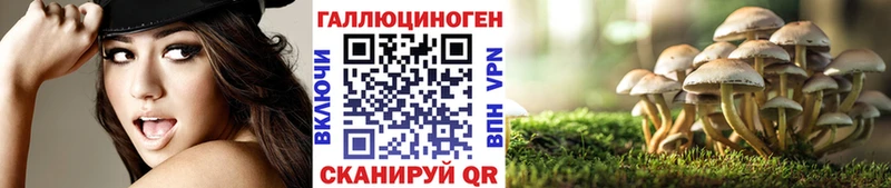 Галлюциногенные грибы Psilocybine cubensis  Электроугли 